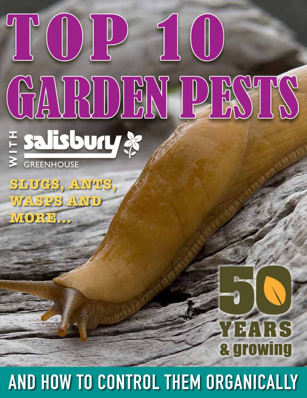 Pest eBook